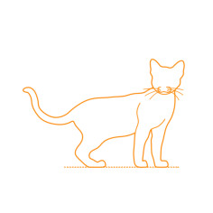 Animals Cats Devon Rex Cat Outline Svg File, Free Vectors File